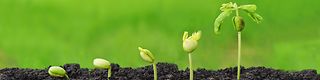 Schmuckbild Ausblick und Strategie
